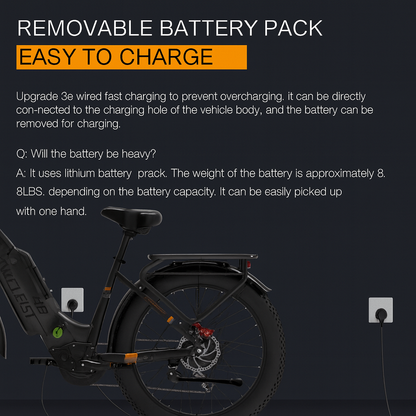 TerraVolt All-Terrain E-Bike